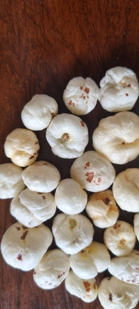 Rajbhog Big Size Phool Makhana 200gm Pack | Makhana Big Quantity