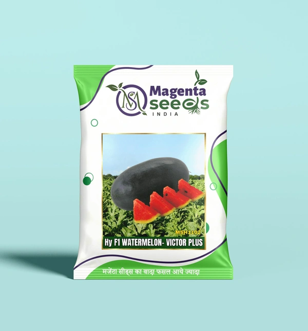 Magenta Seeds VICTOR PLUS Hybrid Watermelon Seeds - 10GM