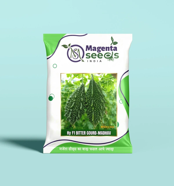 Magenta Seeds MADHAV-Hybrid Bitter Gourd Seeds - 25 Gram