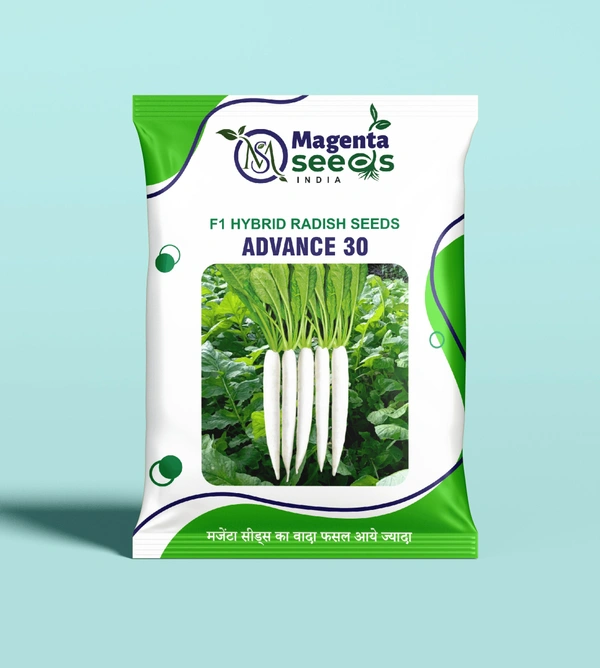 Magenta Seeds ADVANCE-30-Hybrid Radish Seeds - 100 Gram X 10 Pack