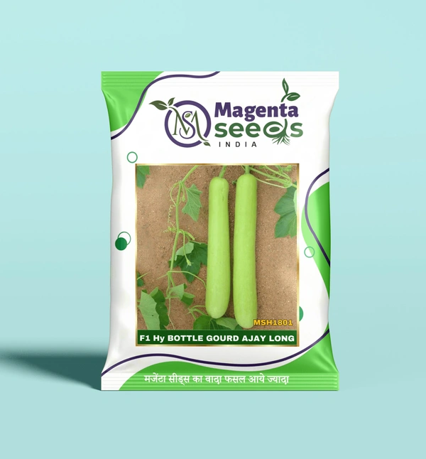 Magenta Seeds AJAY LONG-Hybrid Bottle Gourd Seeds - 10 Gram
