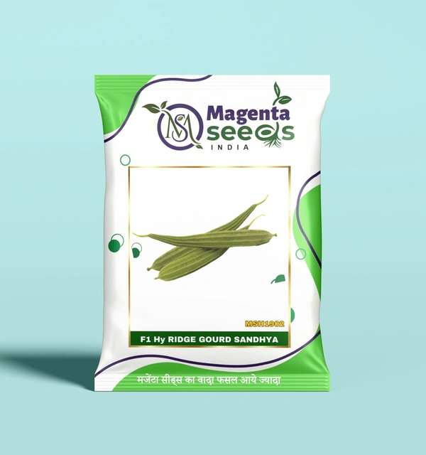 Magenta Seeds SANDHYA-Hybrid Ridge Gourd Seeds - 25 Gram