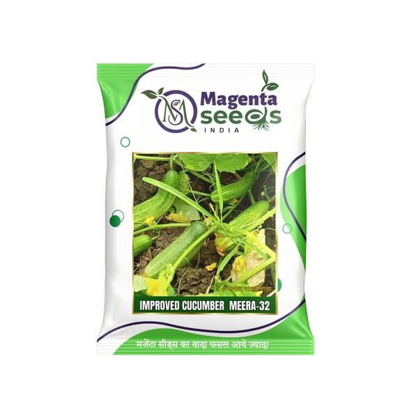 MEERA-32 Desi Cucumber Seeds / देसी 12 पाटा (पत्ती) ककड़ी बीज , Winter Special 