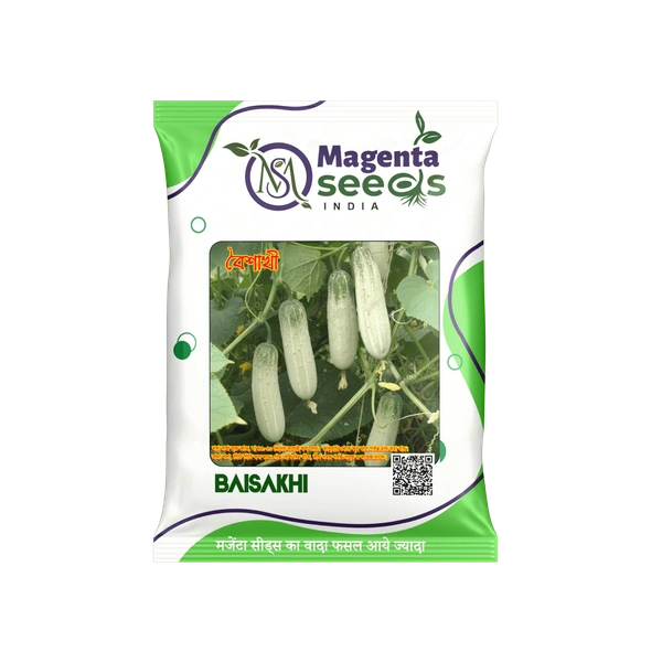 BAISAKHI - White Desi Cucumber Seeds