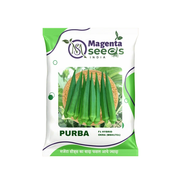 Magenta Seeds PURBA-Hybrid Okra/Bhendi Seeds - 100 Gram