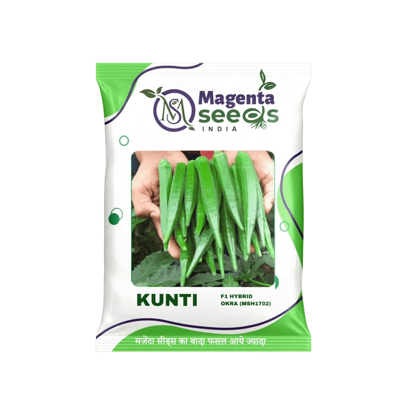 Magenta Seeds KUNTI-Hybrid Okra/Bhendi Seeds - 100 Gram
