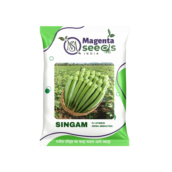 Magenta Seeds Singam Hybrid Okra Seeds - 100 Grams