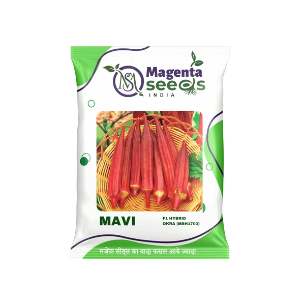 Magenta Seeds MAVI--Improved Okra/Bhendi Seeds - 100 Gram