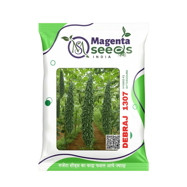 Magenta Seeds DEBRAJ 1307 Hybrid Bitter Groud Seeds - 10 Grams