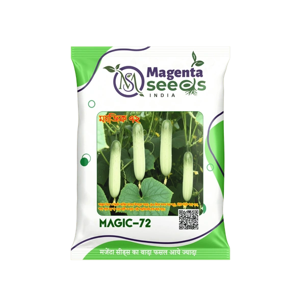 Magenta Seeds MAGIC 72 Desi khira seeds/ White Khira seeds - 50 Grams