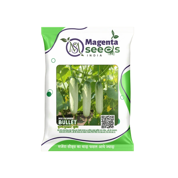 Magenta Seeds BULLET - DESI KHIRA _CUCUMBER SEEDS - 1 KG (20 Pack)