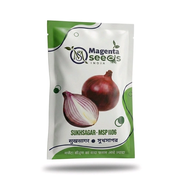 Magenta Seeds Magenta Sukhsagar Onion Seeds/मैजेंटा सुखसागर (MSP 1106) प्याज बीज/ম্যাজেন্টা সুখসাগর (MSP 1106) পেঁয়াজ বীজ - 100 Grams