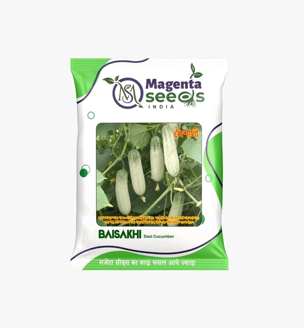 BAISAKHI - White Desi Cucumber Seeds