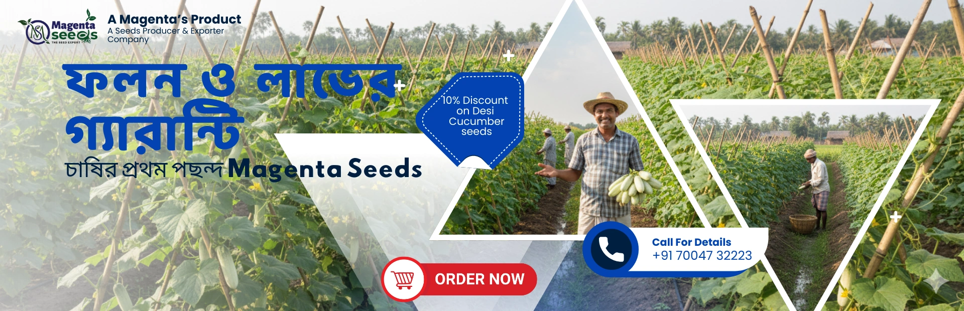 Magenta Seeds के साथ उगाएं बेहतरीन Desi Cucumber – गर्मी में ताजगी और स्वाद!