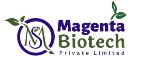 Magenta Seeds - Logo