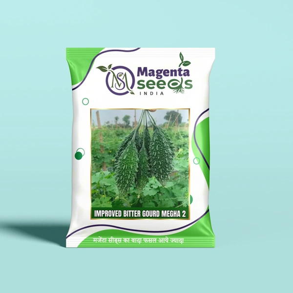 Magenta Seeds Megha-2 _Desi Bitter Gourd Seeds - 50 gm