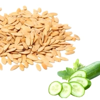 Kakdi (Cucumber) Seeds