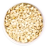 Water Melon (Tarbooz Magaz) Seeds