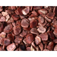 Godambi / Bhilawa Chironji