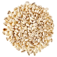 Barley / Jaw