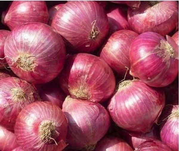 Onion :  - 500 GM