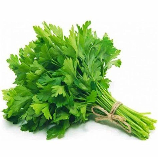 Coriander (kothmir) 1Pc - 1pcs