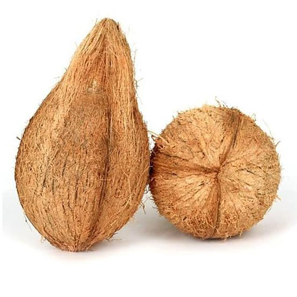 Coconut / Thenga / തേങ്ങ