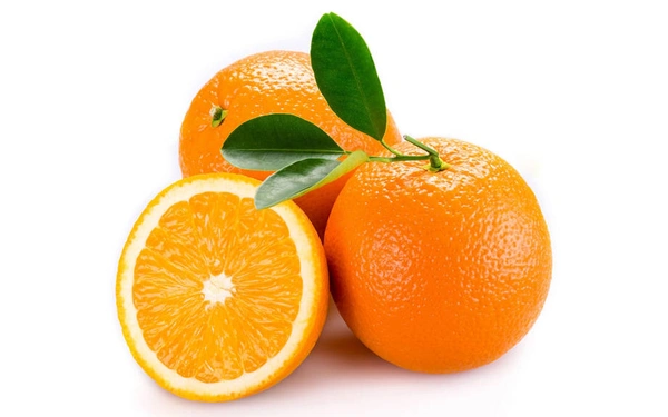 Citrus Orange