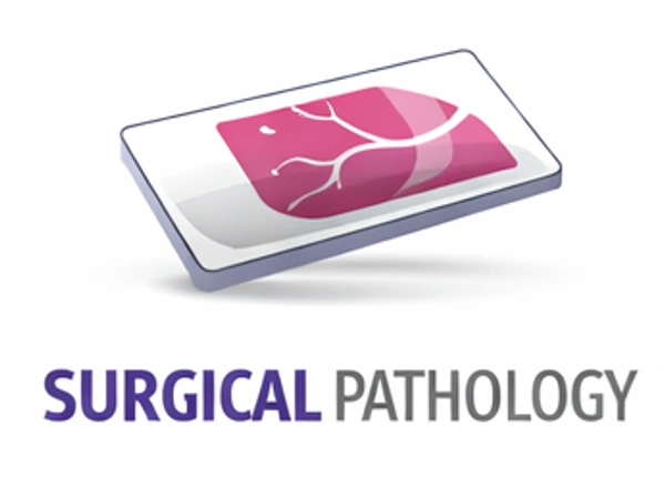 Histopathological Examination - Medium Biopsies