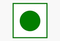 Chile Walnut kernels Extra Select,,200g, Best Price, High Quality (Tulsi )