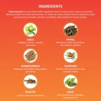 BAIDYANATH Chyawanprash Special - Baidyanath - 250g