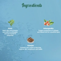 BIOTIQUE Neem Face Wash - Biotique - 100ml