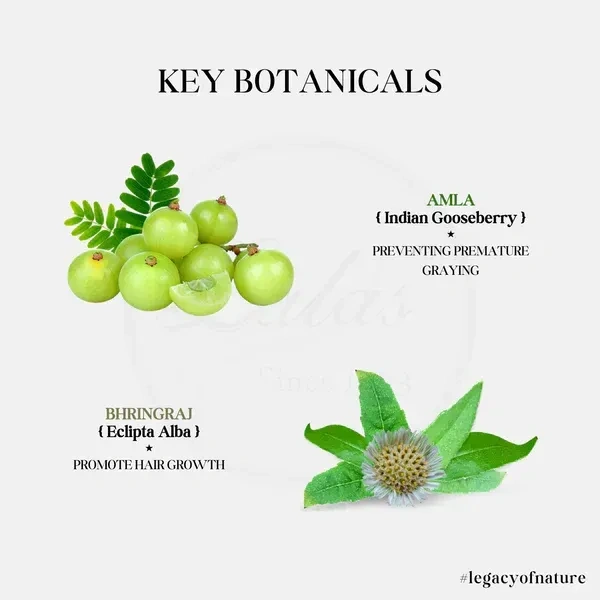 Amla Bhringraj Shampoo - Lalas - 1ltr