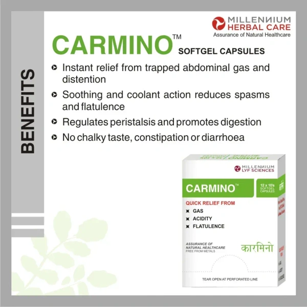 MILLENIUM HERBALS Carmino Capsule - Millennium - 10Capsules