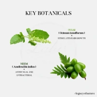 LALA DAWASAZ PVT LTD Herbal Hair Wash - Lalas - 500Ml