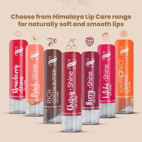 HIMALAYA PHARMACY Natural Soft Vanilla Lip Care - Himalaya - 4.5g