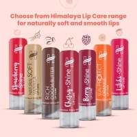 HIMALAYA PHARMACY Peach Shine Lip Care - Himalaya - 4.5g