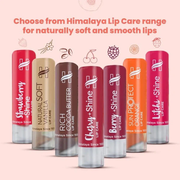 HIMALAYA PHARMACY Peach Shine Lip Care - Himalaya - 4.5g