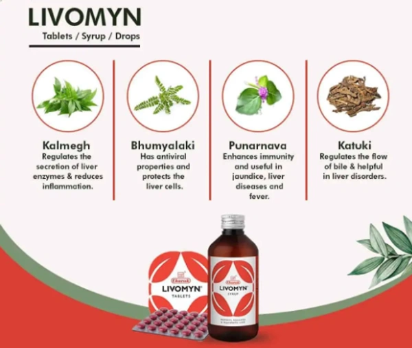 CHARAK Livomyn Syrup - Charak - 100ml