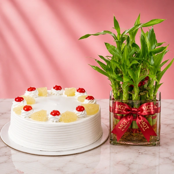 My Gifts Tree Pineapple Cake N Lucky Bamboo - 1.5 KG
