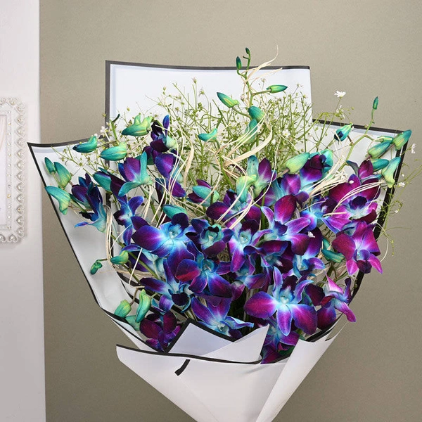 Exotic Blooming Love Orchid