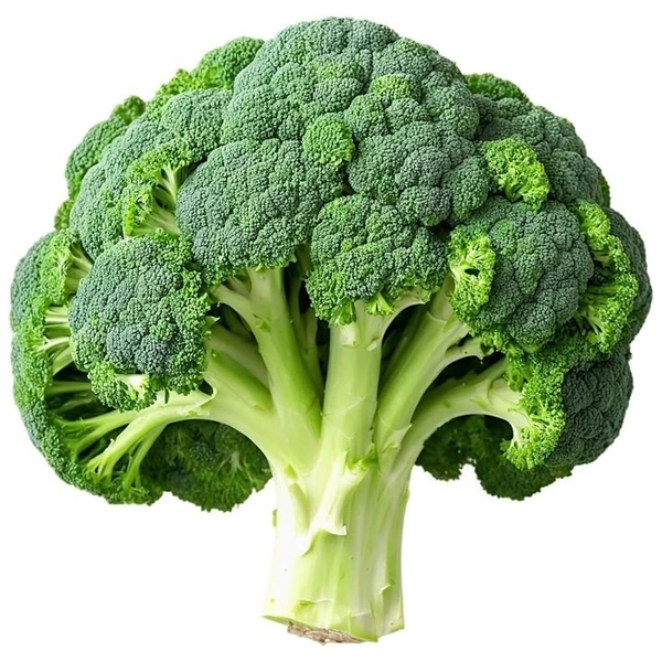    Fresh Broccoli 