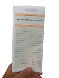 Natural Rudraksha - 8 Mukhi