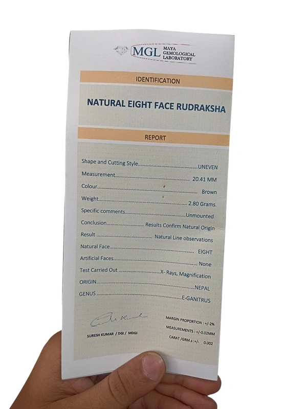 Natural Rudraksha - 8 Mukhi