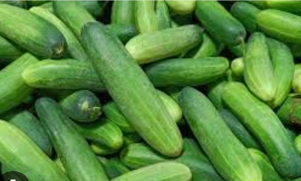 Cucumber - 500g