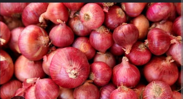 Onion Big Size - 5kg
