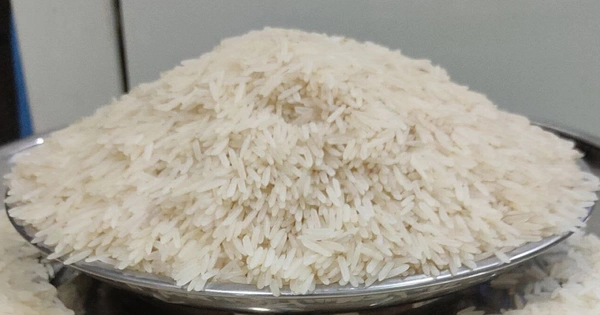 Latest Basmati Rice - Loose 1kg