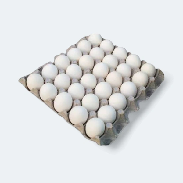 Egg - 30pc Try