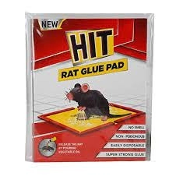 Hit Rat Glue Pad - Bigg