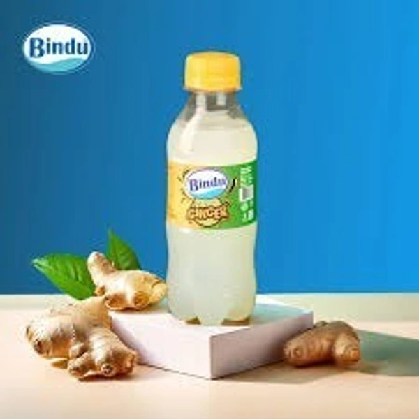 Bindu Fizzy 300ml - Ginger Masala